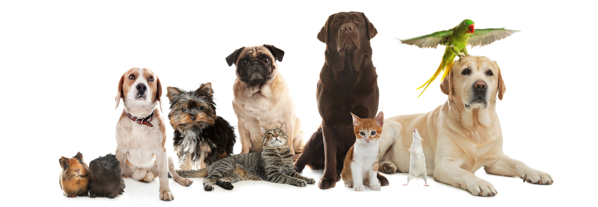 Compassionate Care for Every Stage of Life