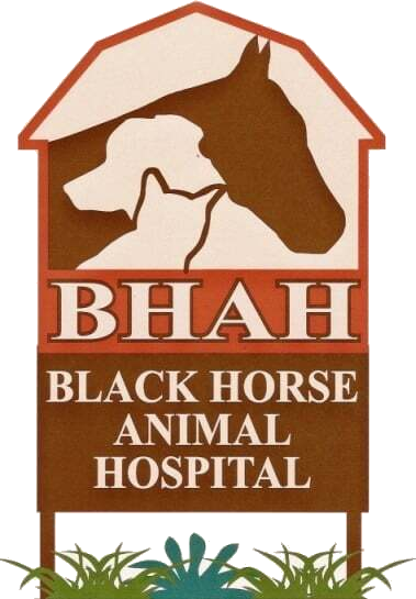 Black Horse Animal Hospital